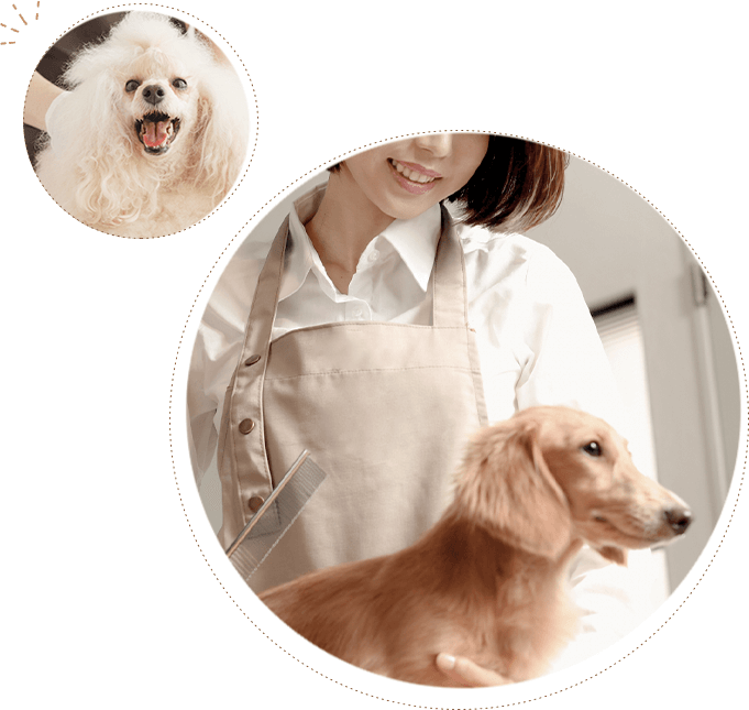 代表挨拶のイメージ