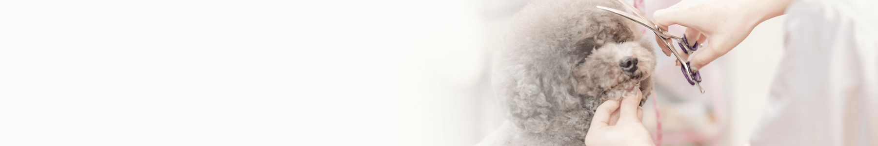 サブビジュアル